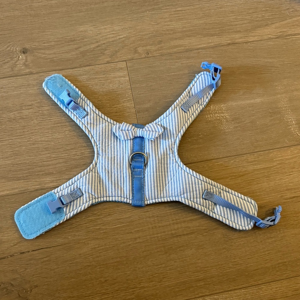 Kitten harness - blue striped with a little bow tie.